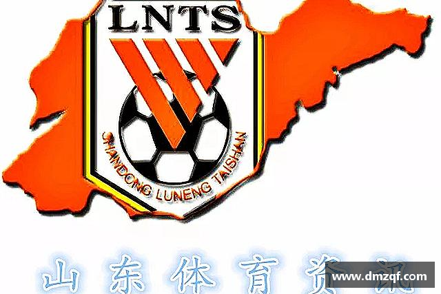 关于球速体育登录